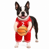 Dog Basketball Player with Ball Costume .