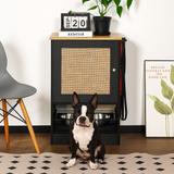 Dog Feeding Station With 2 Elevated Stainless Dog Bowls and Side Hooks