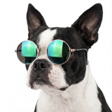 Dog Sun Glasses Pet Eyewear Accessory .