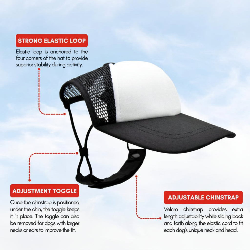 Pet Trucker Hat for Dogs – UV Protective Mesh Cap with Secure Fit for Small, Medium & Large Dogs .