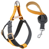Colored Strap Step-In Dog Harness With Leash Set . Grey Orange