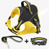 Dog Harness Set with Collar and Leash