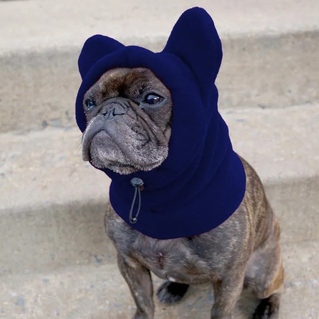 Ear Warmers Pullover Polar Winter Dog Hat