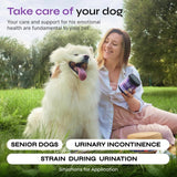 Dog UTI Treatment Duck Flavor Bladder Control Cranberry Chews Supplement For Urinary Tract Bladder & Kidney Health