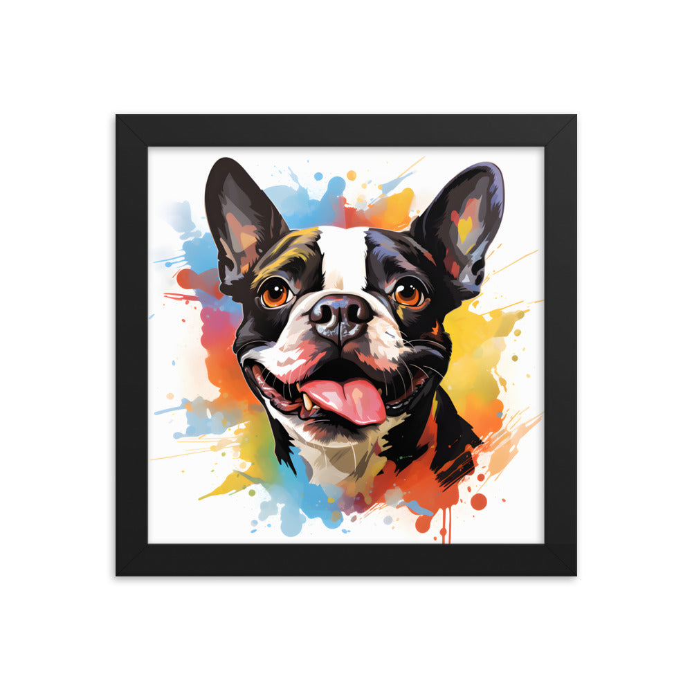 Colorful Playful Boston Terrier Dog Splash Art Framed Poster