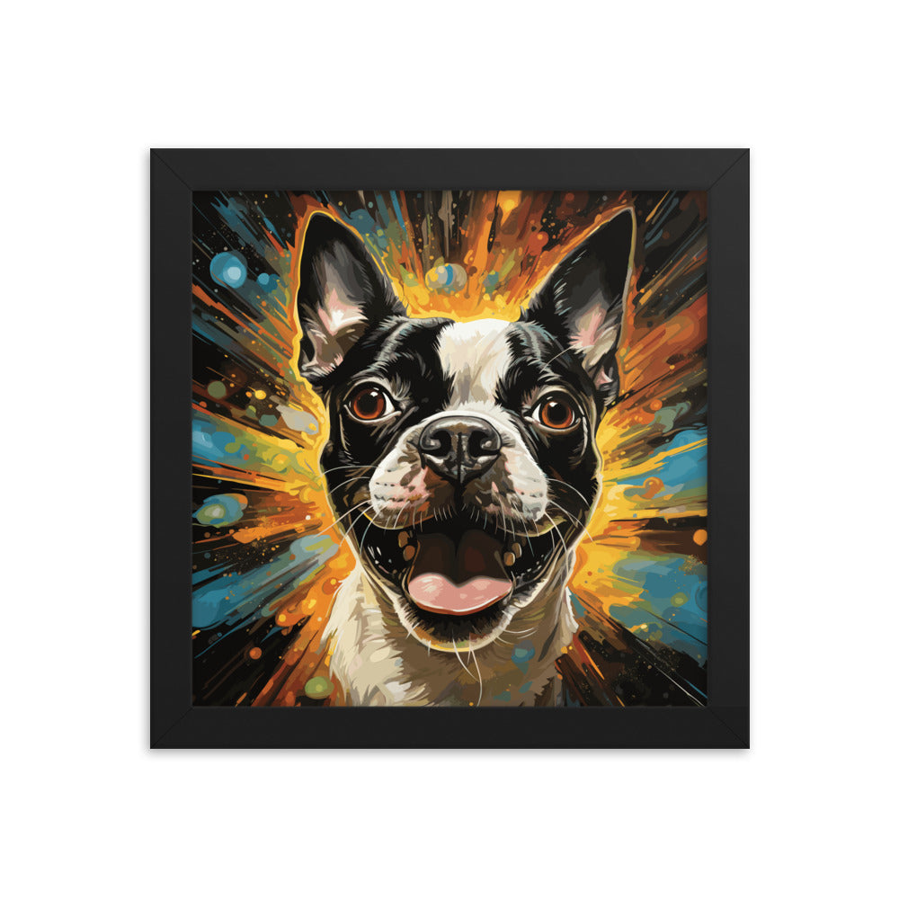 Zoomies Excitement Boston Terrier Dog Framed poster