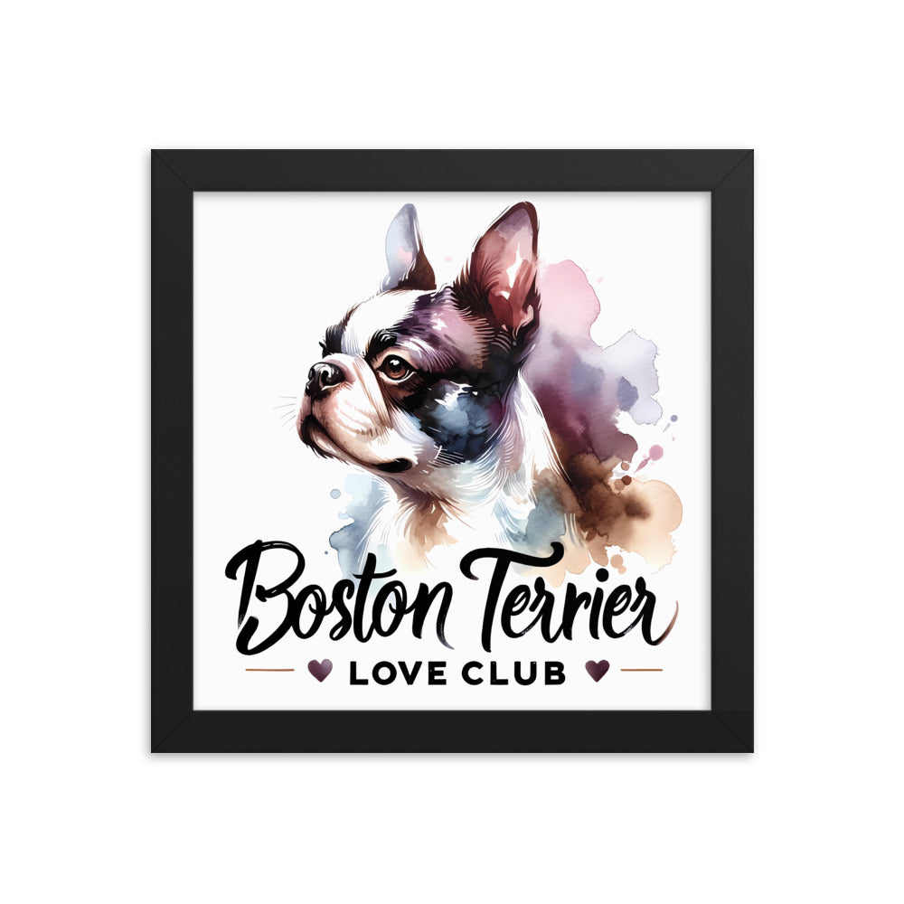 Boston Terrier Love Club - Elegant Watercolor Boston Terrier Art Framed Poster