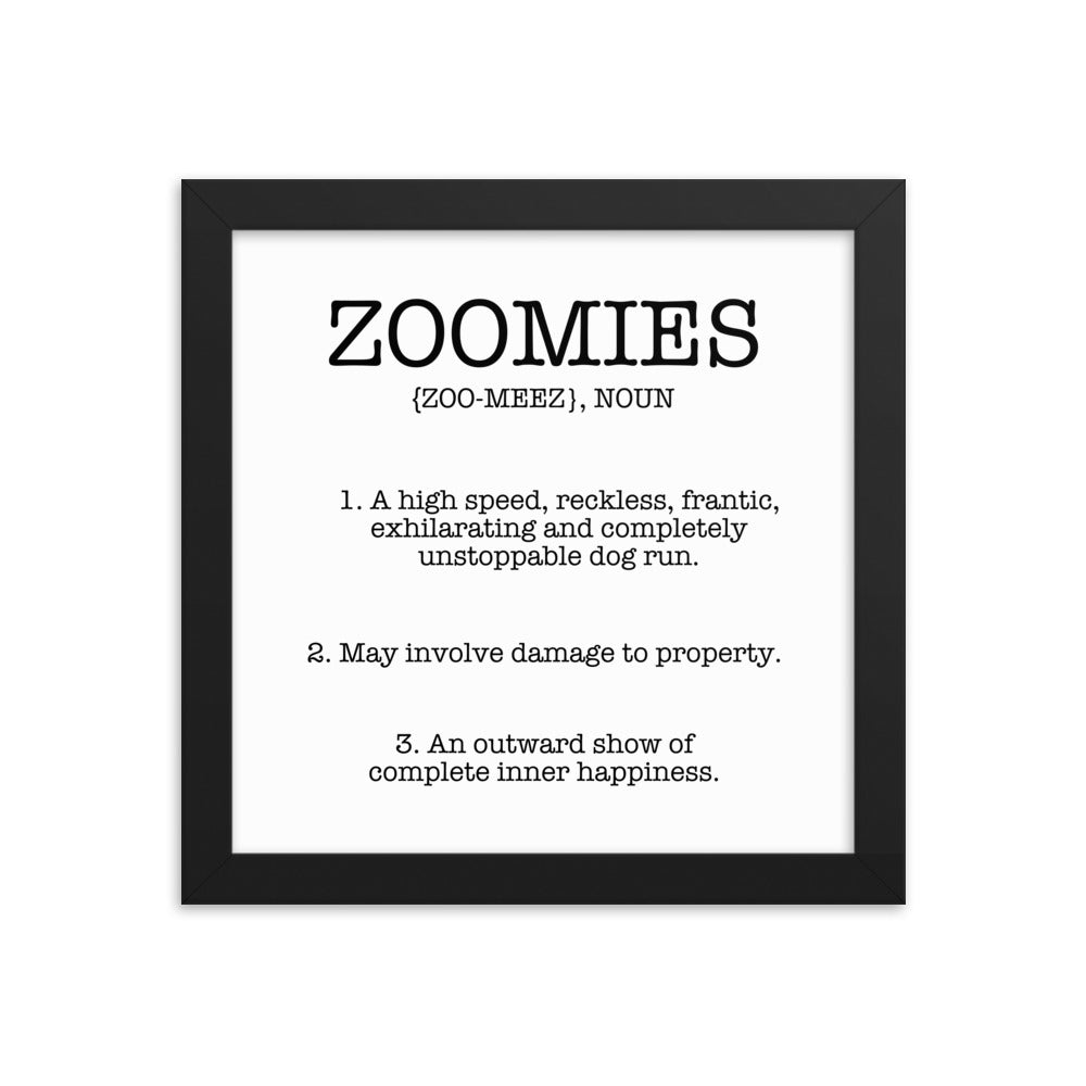 Zoomies Definition Framed Poster