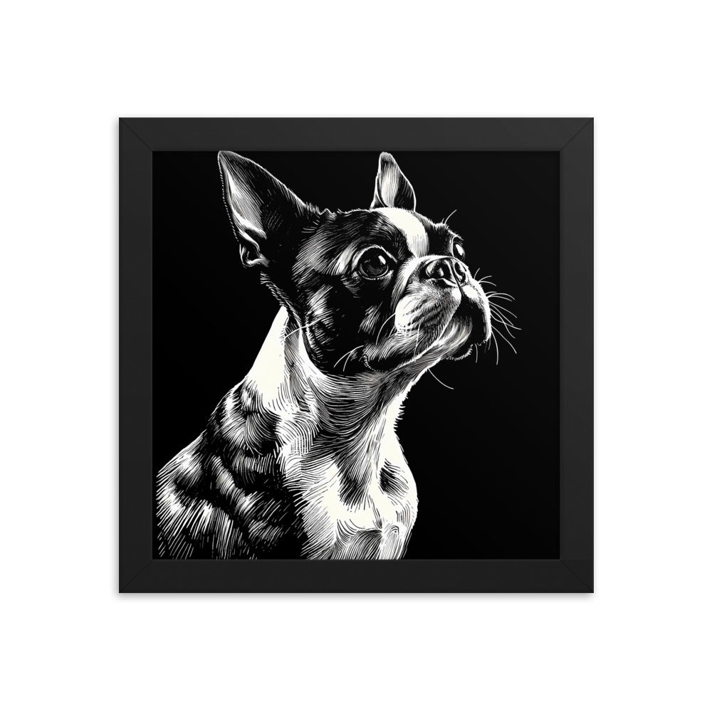 Boston Terrier Line Art Framed Poster