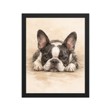 Watercolor Boston Terrier Dog Art Print Framed Poster . Black 11″×14″