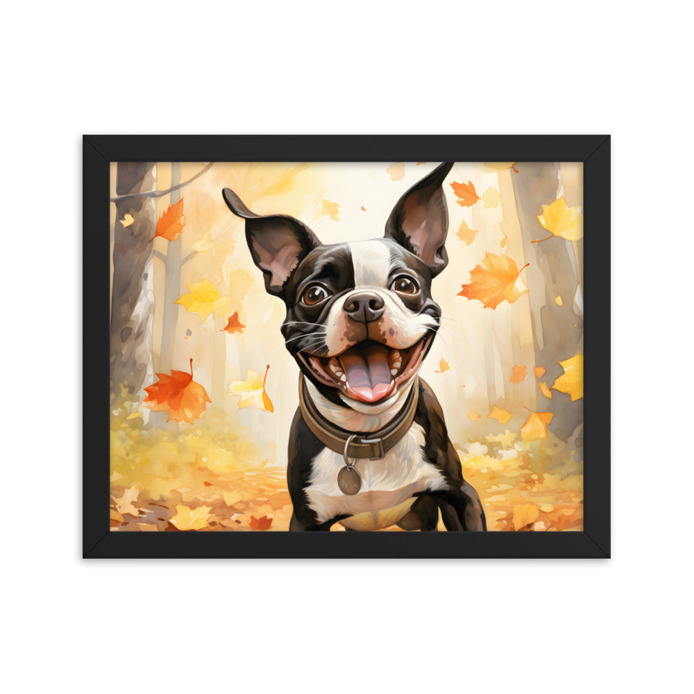 Cheerful Boston Terrier Dog Exploring A Park Watercolor Framed poster