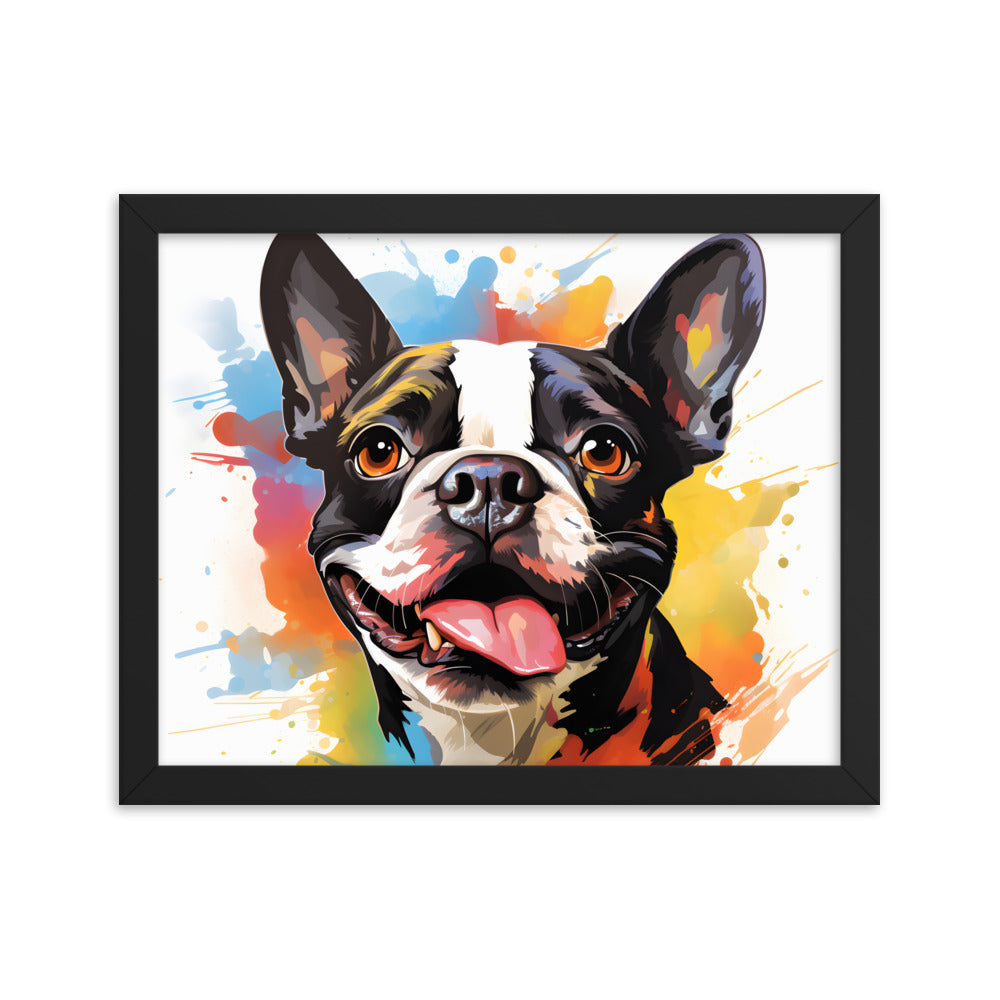 Colorful Playful Boston Terrier Dog Splash Art Framed Poster