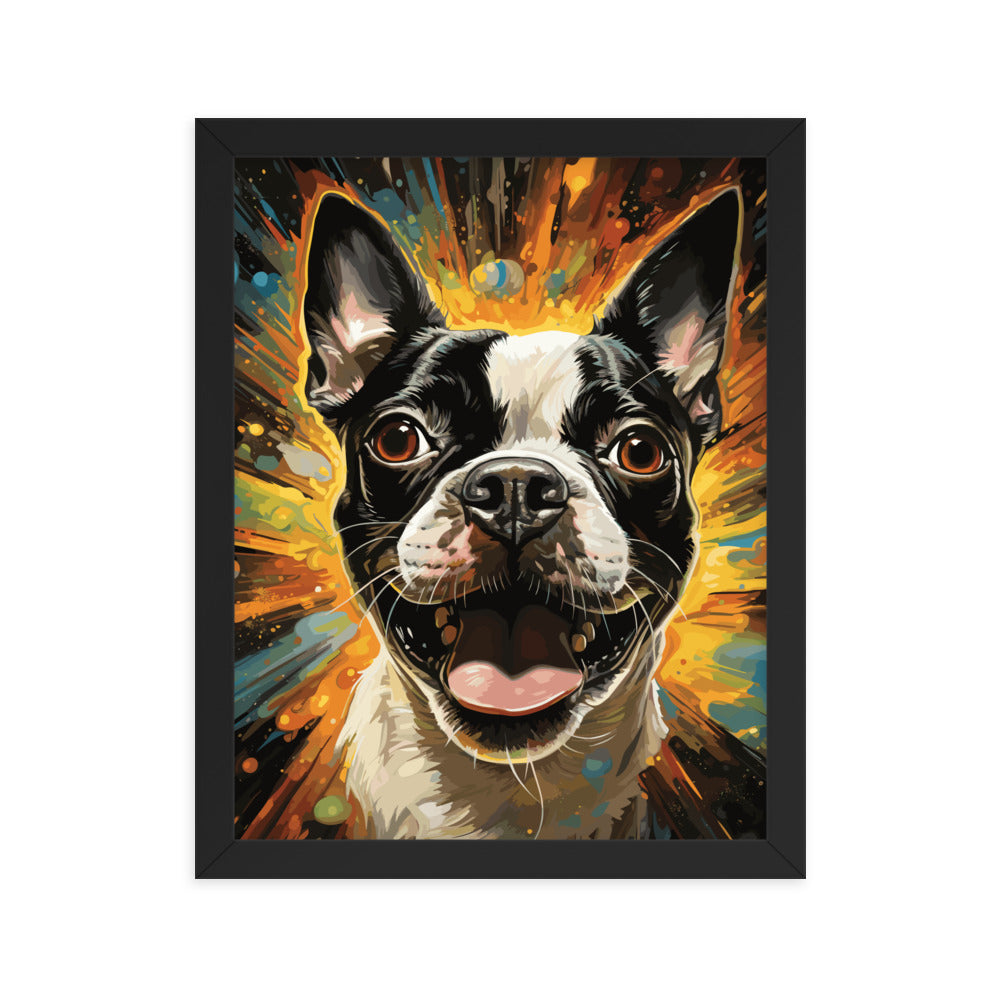 Zoomies Excitement Boston Terrier Dog Framed poster