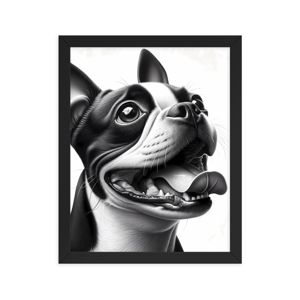Overjoyed Boston Terrier Dog Framed Poster