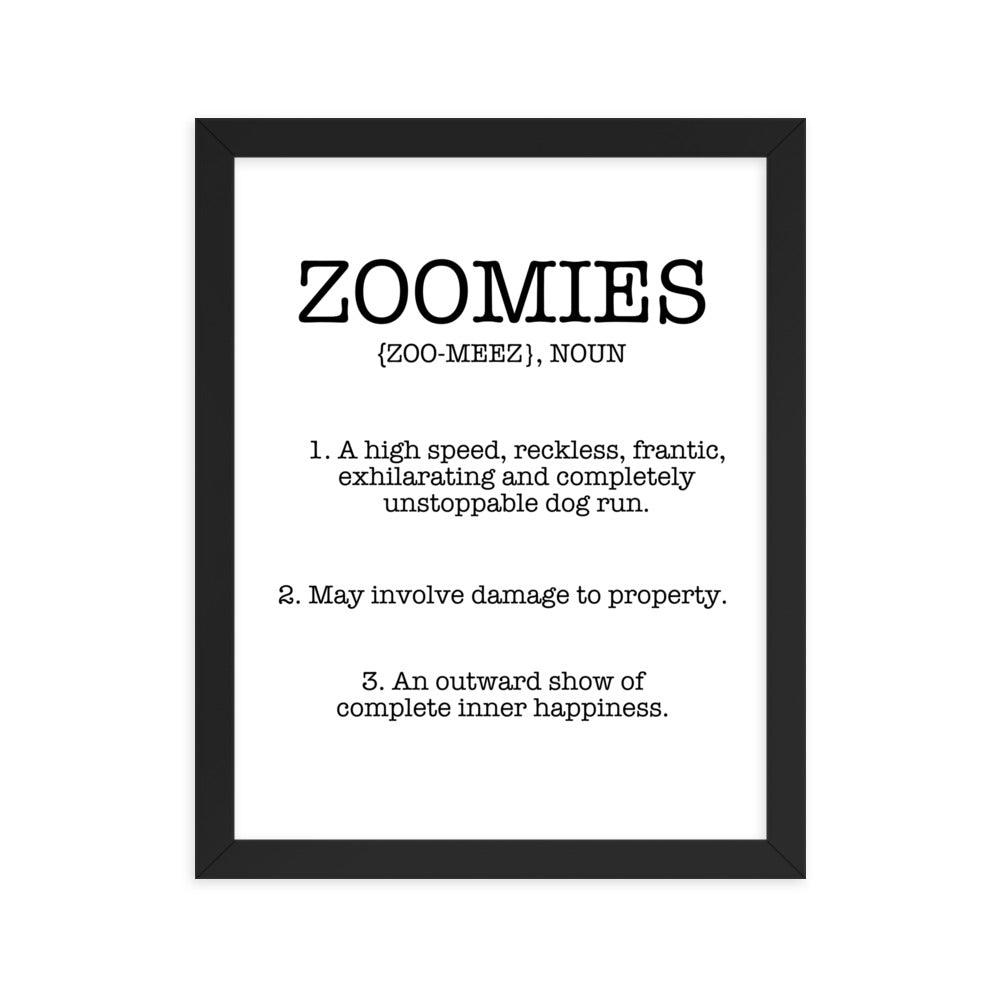 Zoomies Definition Framed Poster