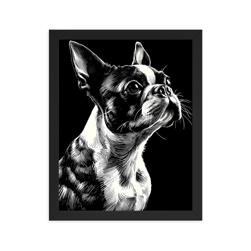 Boston Terrier Line Art Framed Poster