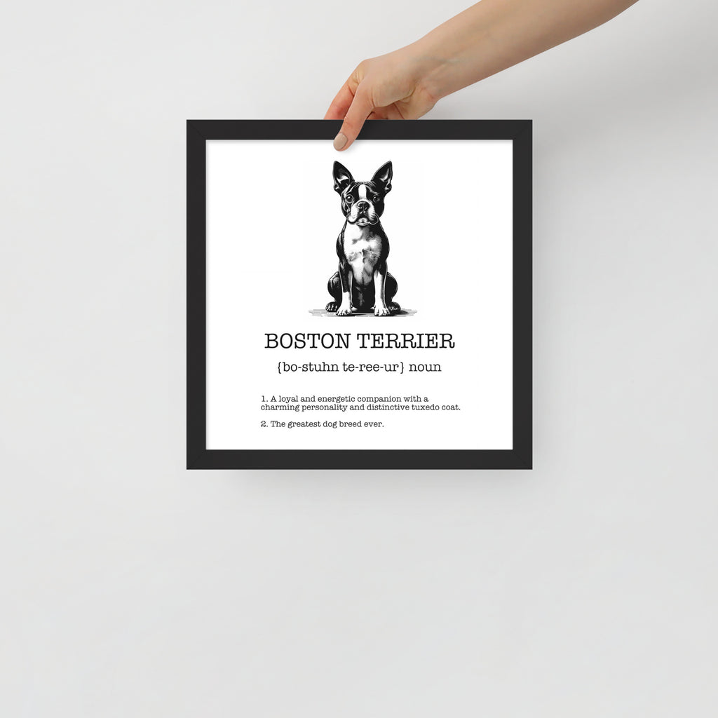 Boston Terrier Definition Framed Poster