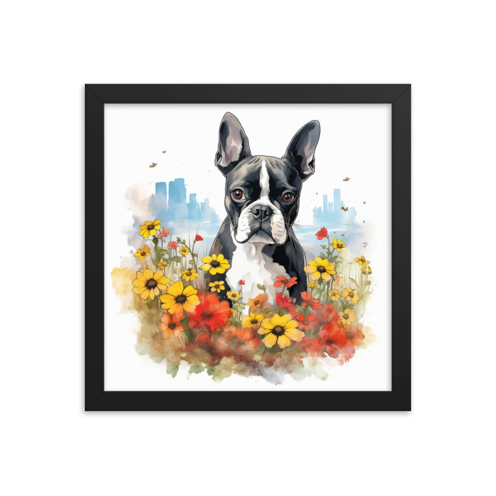 Boston Terrier Dog In A Garden Outside The City Framed Poster