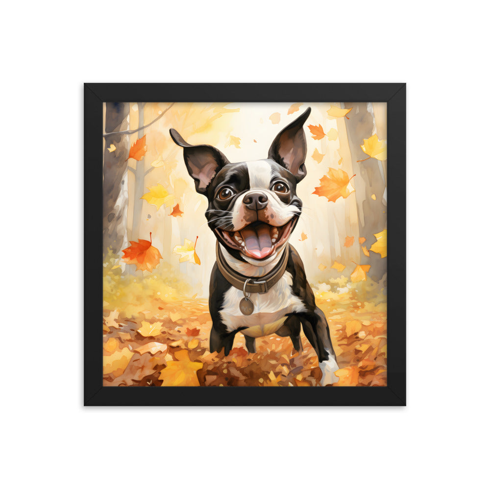 Cheerful Boston Terrier Dog Exploring A Park Watercolor Framed poster