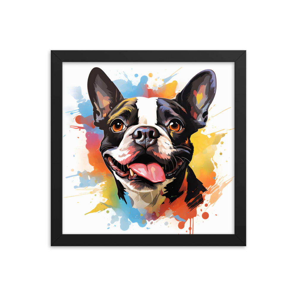 Colorful Playful Boston Terrier Dog Splash Art Framed Poster