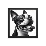 Overjoyed Boston Terrier Dog Framed Poster