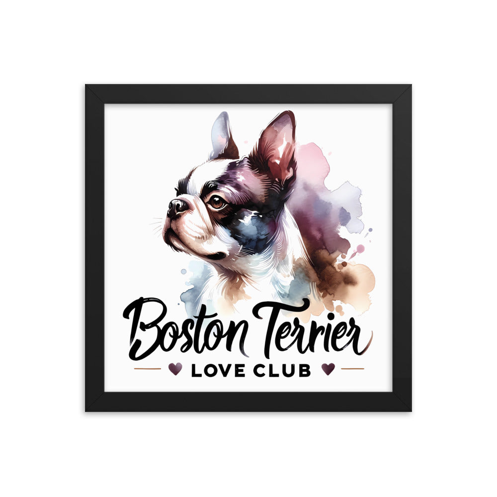 Boston Terrier Love Club - Elegant Watercolor Boston Terrier Art Framed Poster