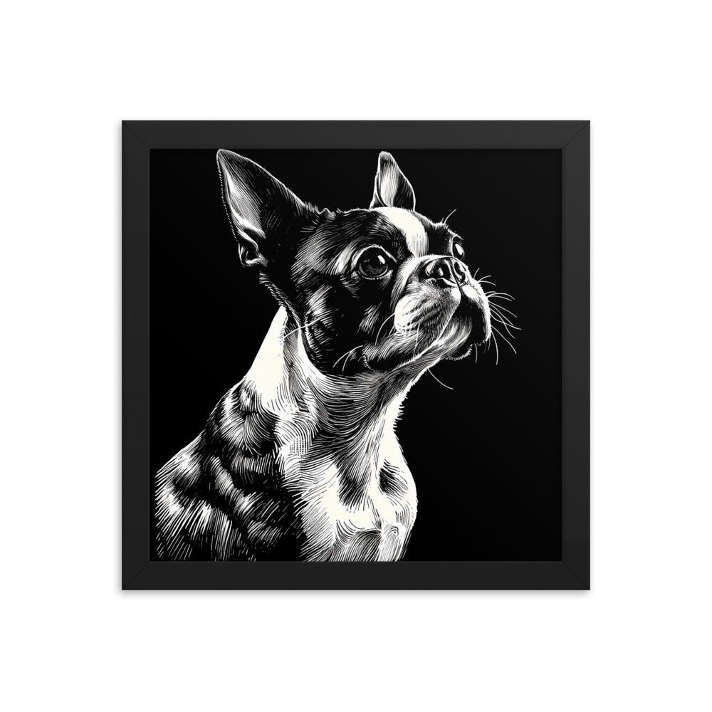 Boston Terrier Line Art Framed Poster