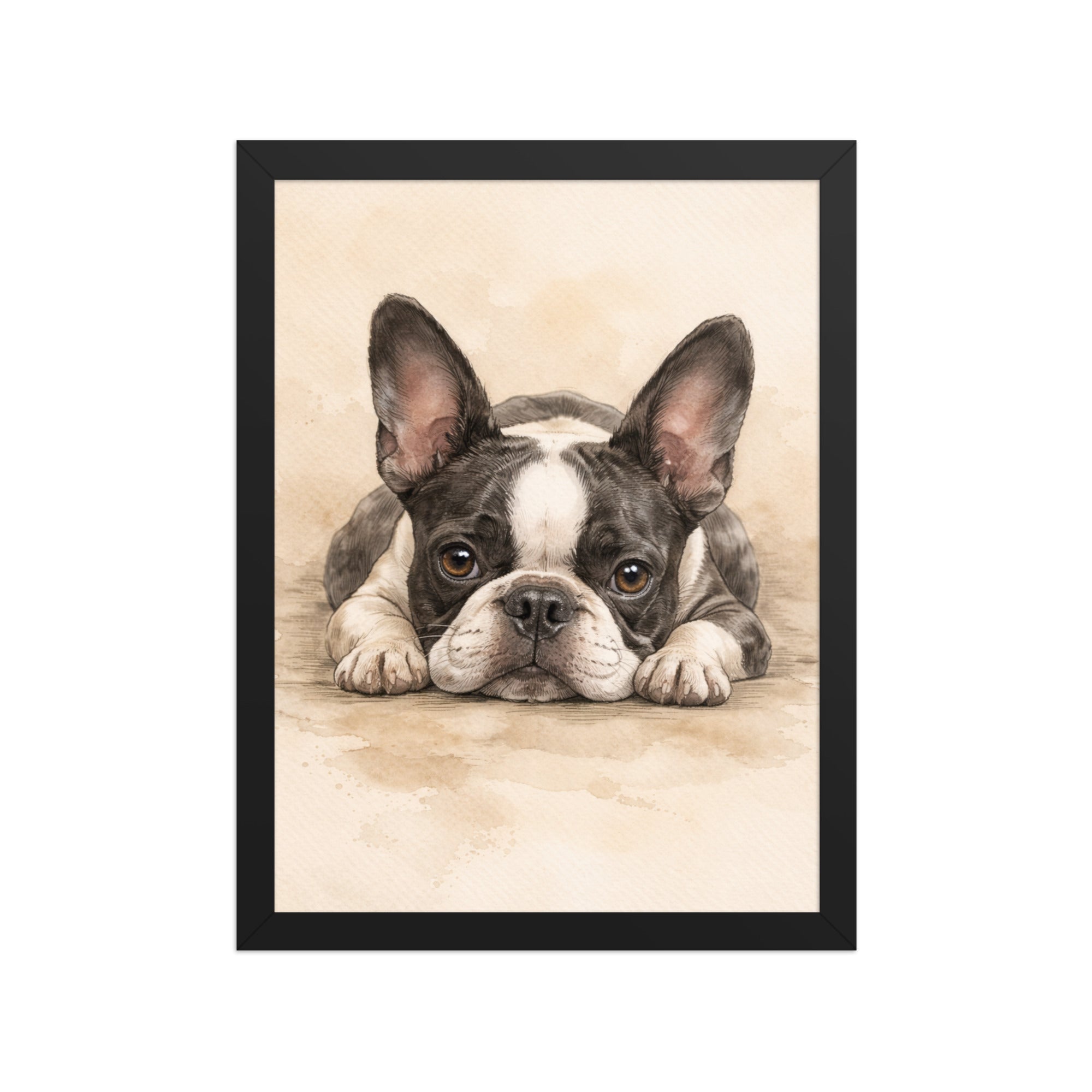 Watercolor Boston Terrier Dog Art Print Framed Poster . Black 12″×16″