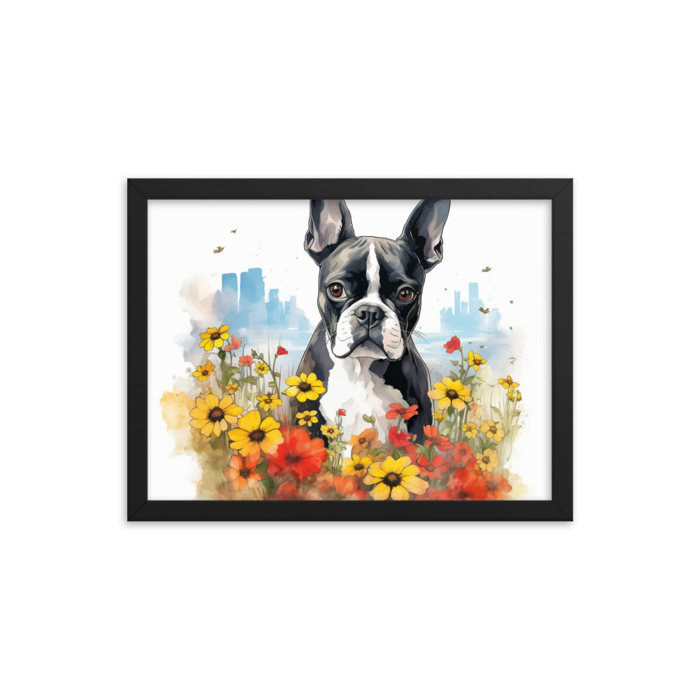 Boston Terrier Dog In A Garden Outside The City Framed Poster