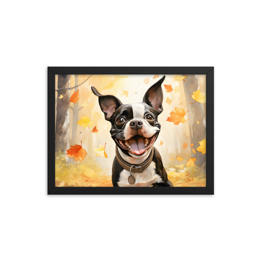 Cheerful Boston Terrier Dog Exploring A Park Watercolor Framed poster