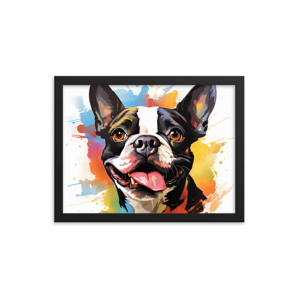 Colorful Playful Boston Terrier Dog Splash Art Framed Poster