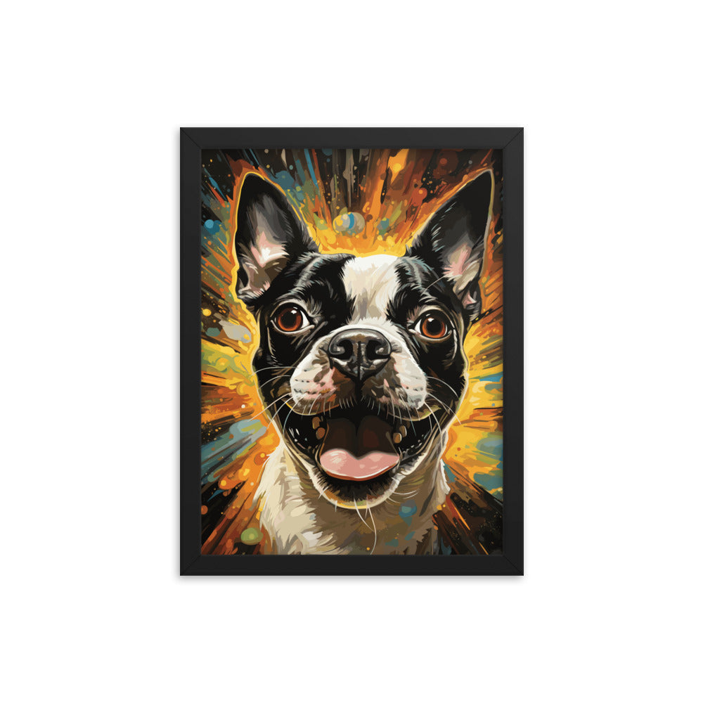 Zoomies Excitement Boston Terrier Dog Framed poster