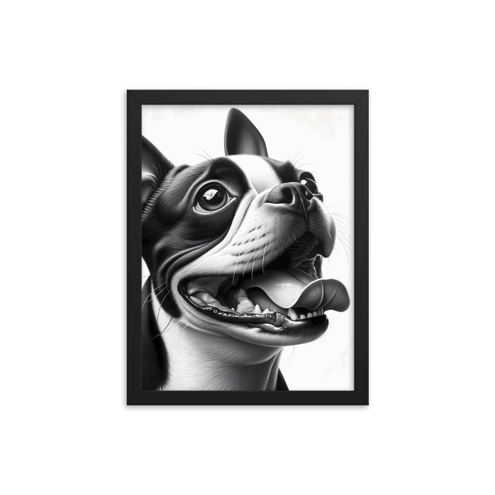 Overjoyed Boston Terrier Dog Framed Poster