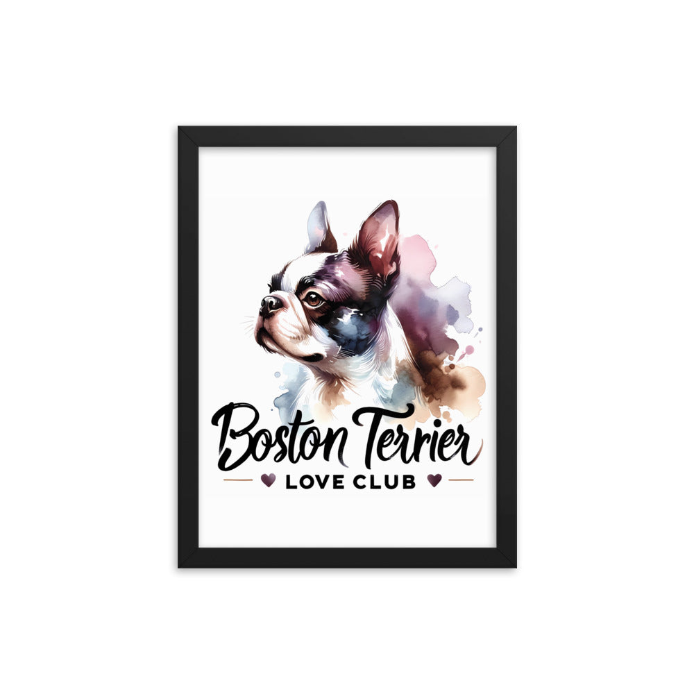 Boston Terrier Love Club - Elegant Watercolor Boston Terrier Art Framed Poster