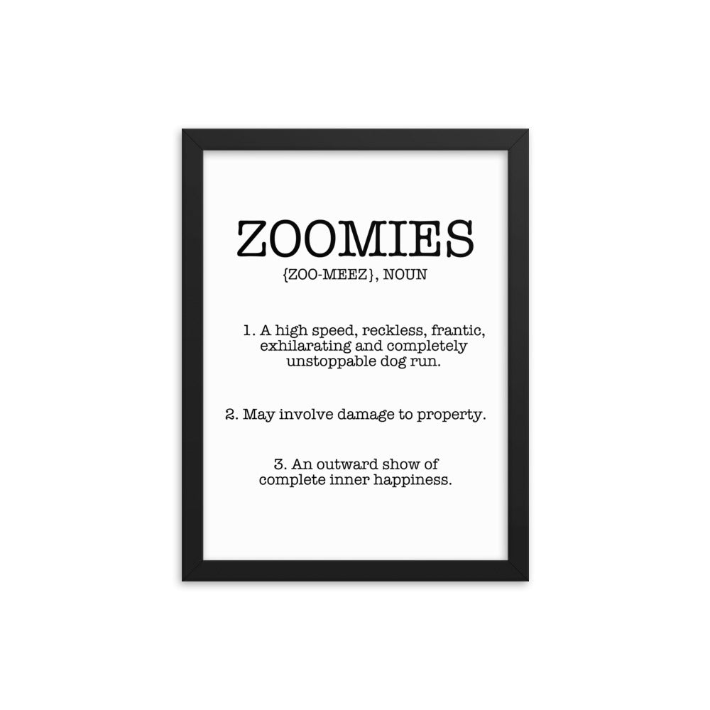 Zoomies Definition Framed Poster