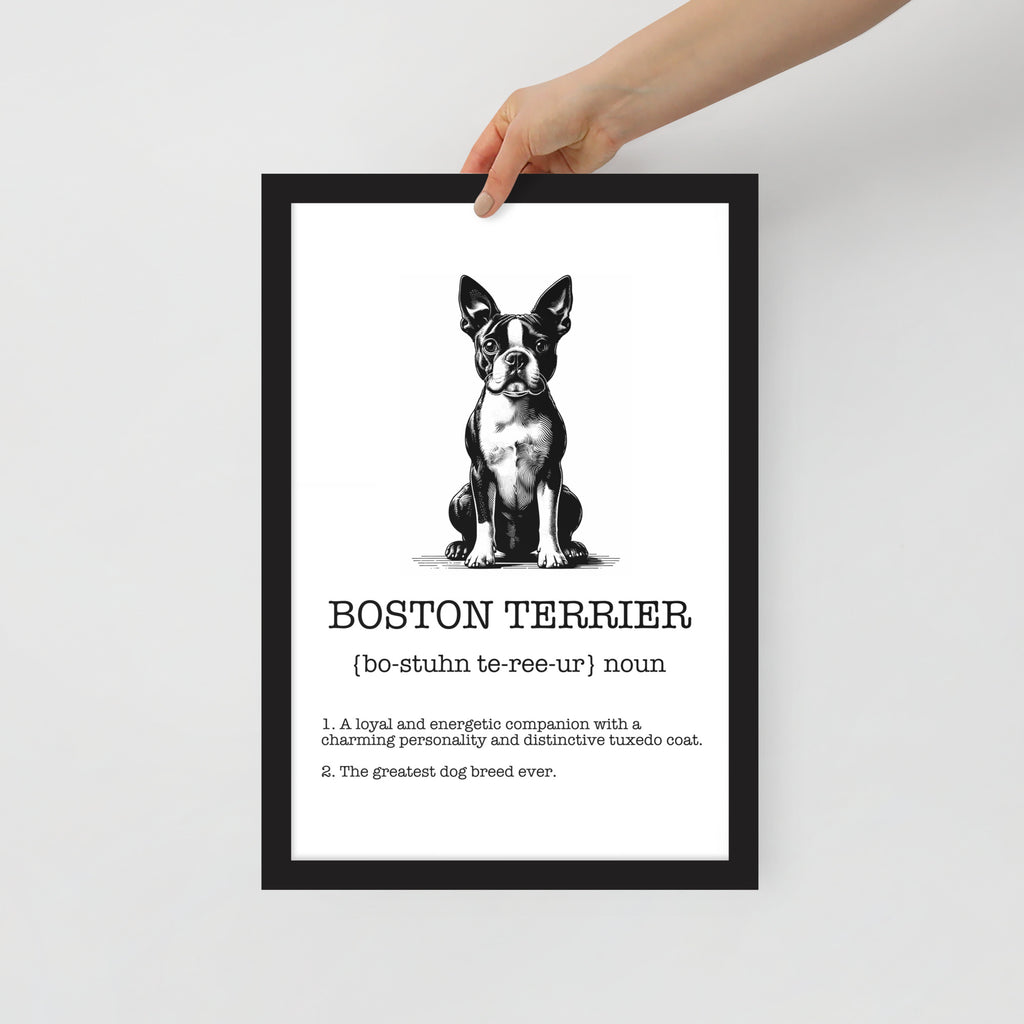 Boston Terrier Definition Framed Poster