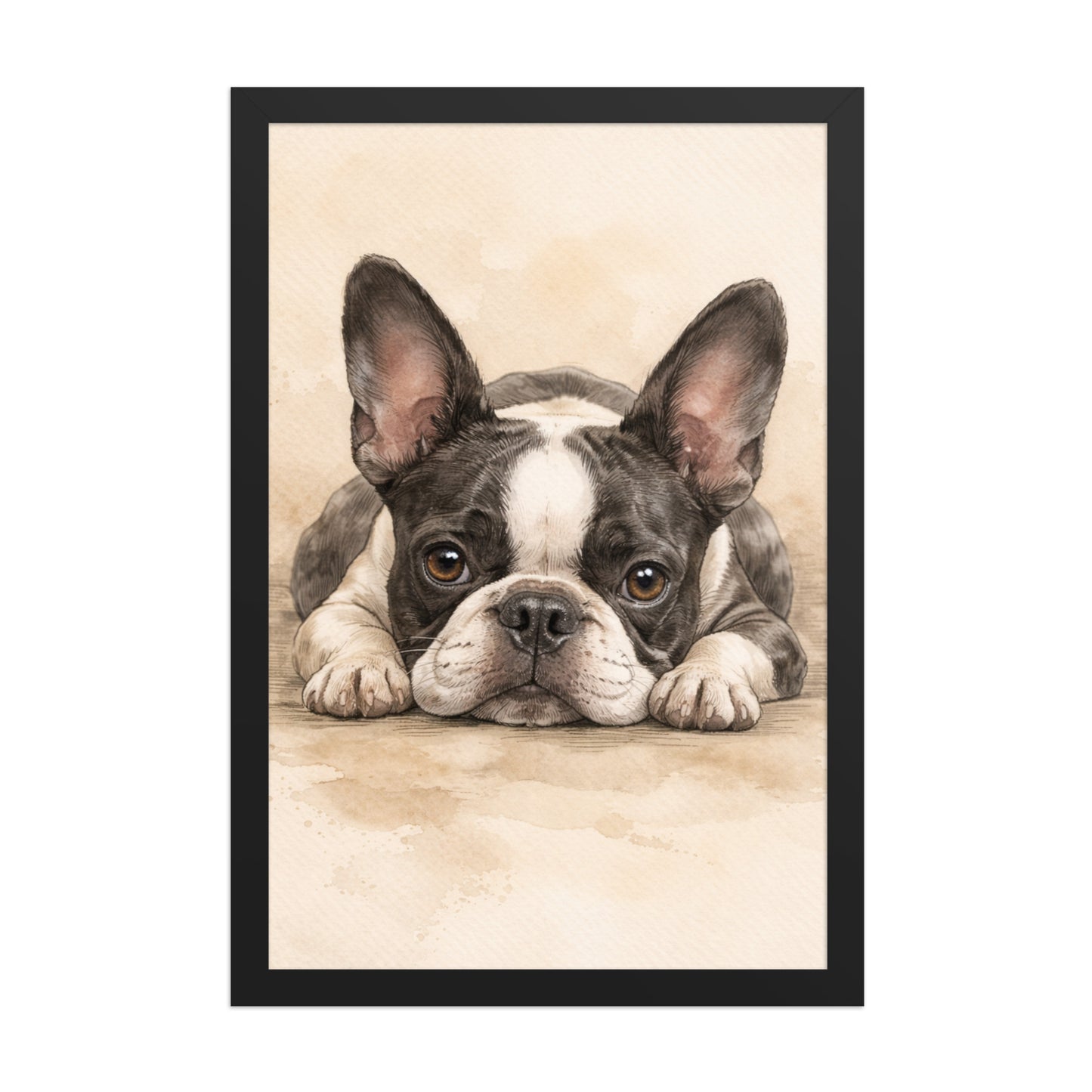 Watercolor Boston Terrier Dog Art Print Framed Poster . Black 12″×18″