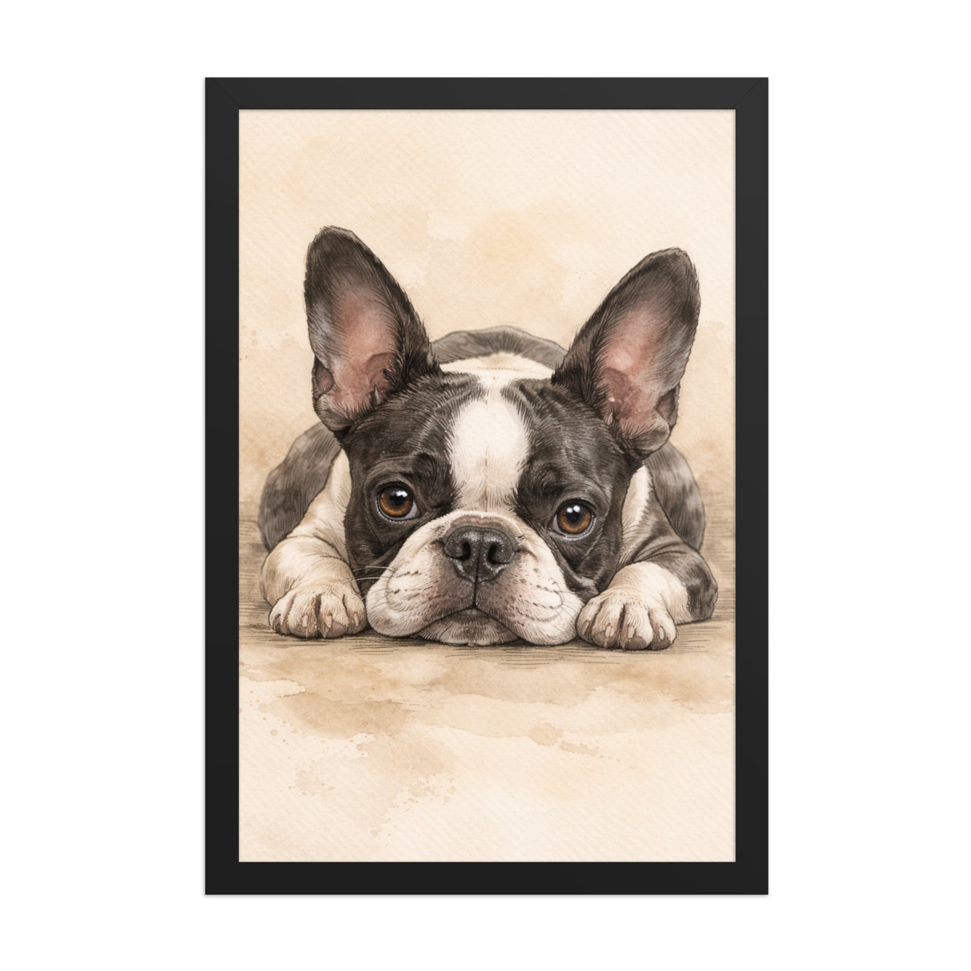 Watercolor Boston Terrier Dog Art Print Framed Poster . Black 12″×18″