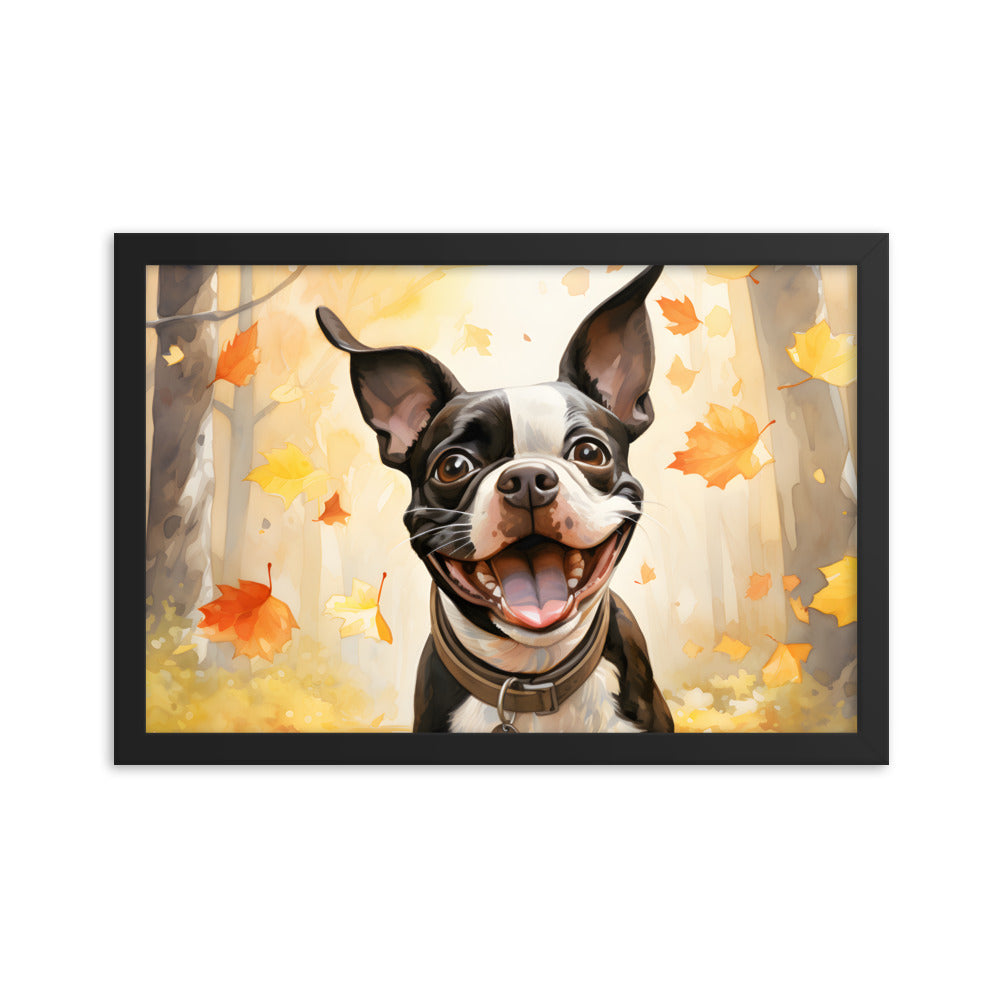 Cheerful Boston Terrier Dog Exploring A Park Watercolor Framed poster