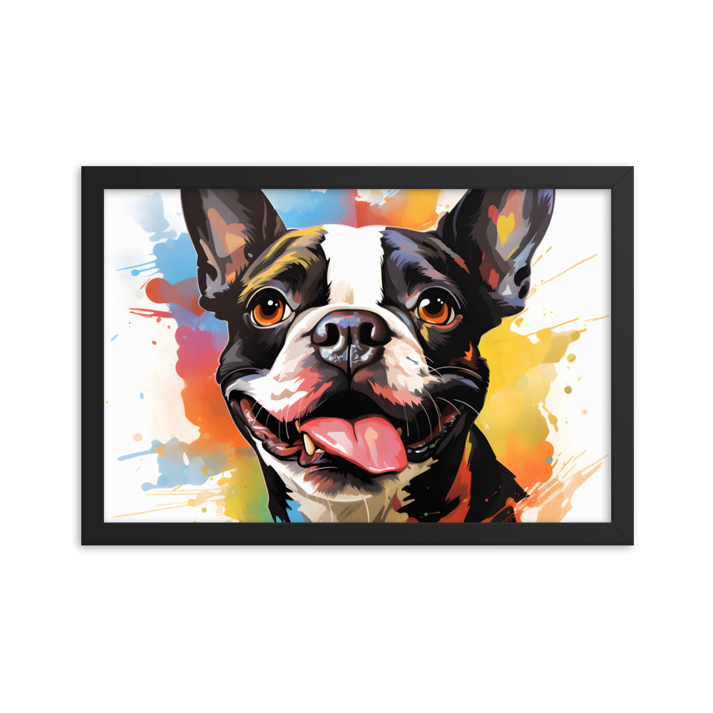 Colorful Playful Boston Terrier Dog Splash Art Framed Poster