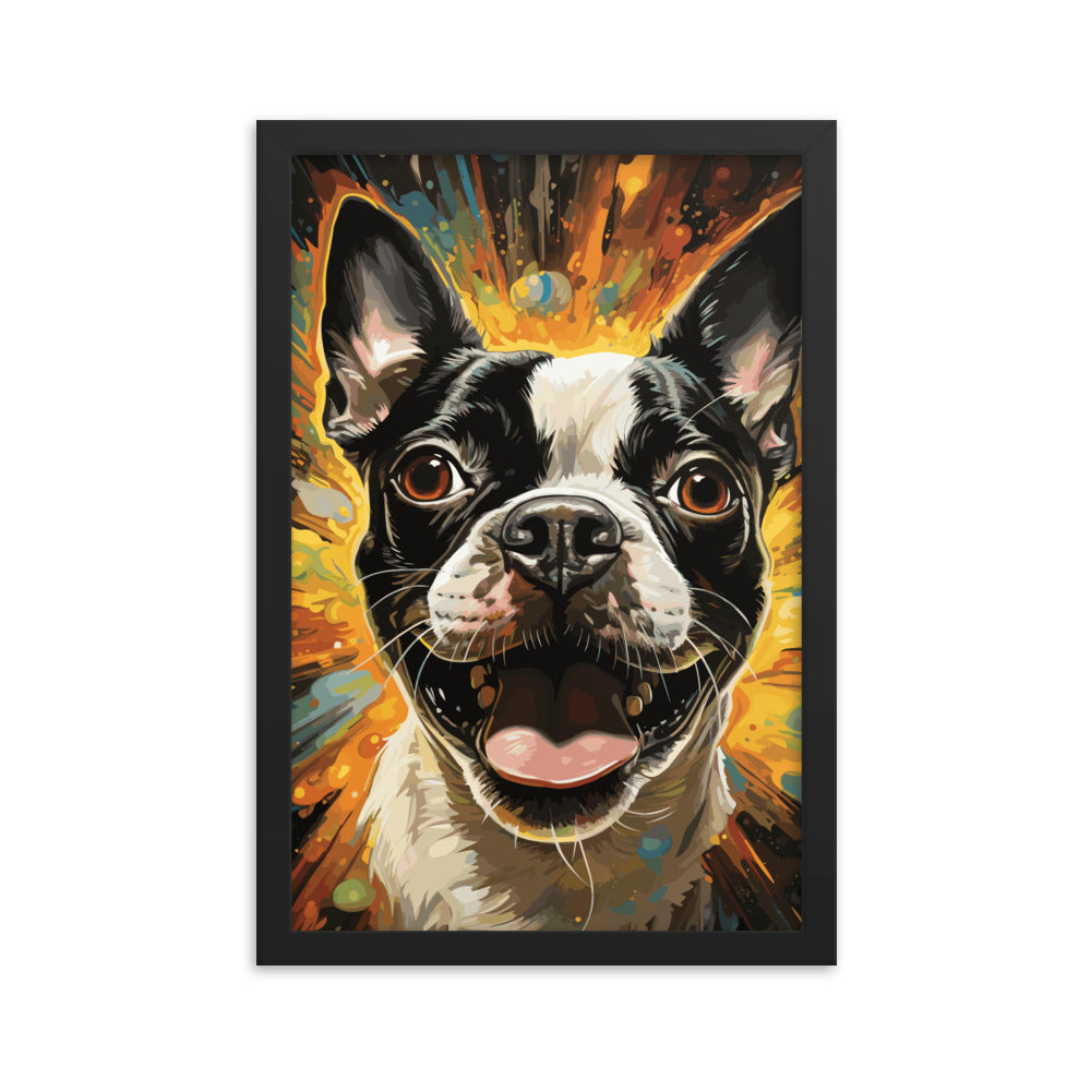 Zoomies Excitement Boston Terrier Dog Framed poster