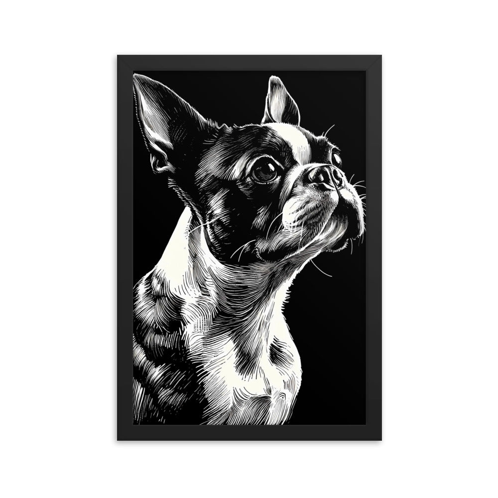 Boston Terrier Line Art Framed Poster