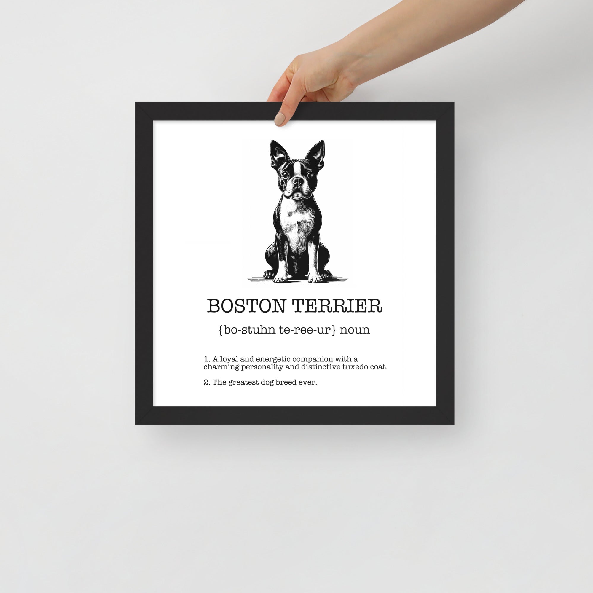 Boston Terrier Definition Framed Poster