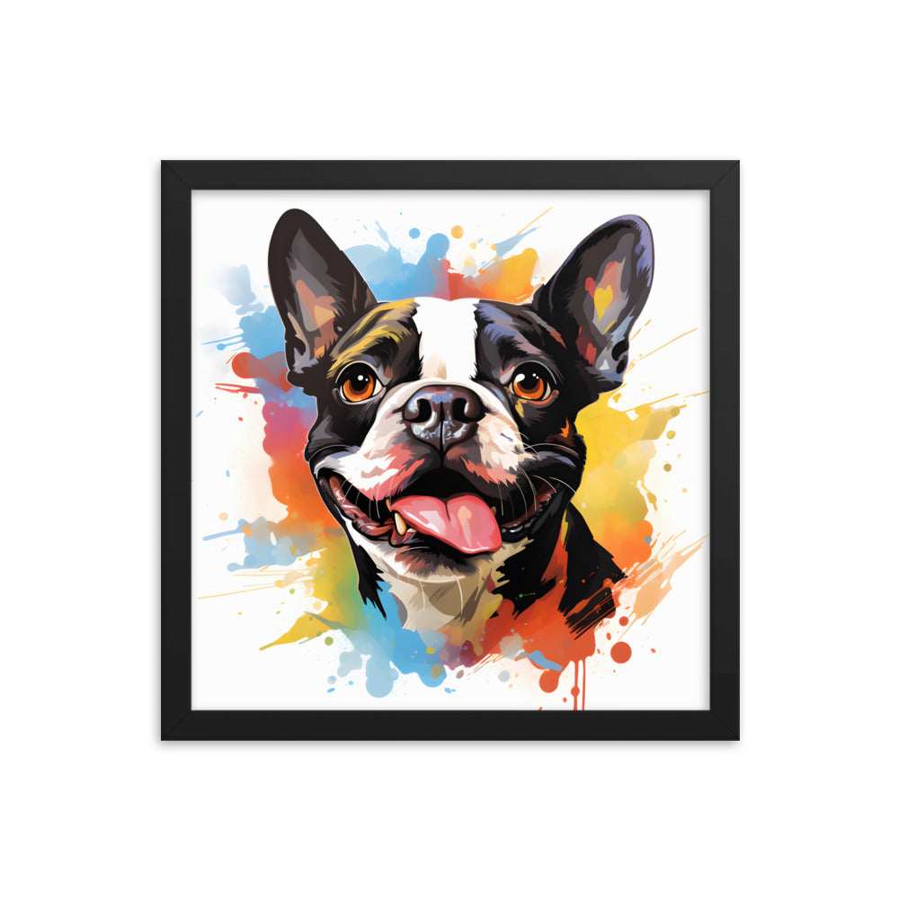 Colorful Playful Boston Terrier Dog Splash Art Framed Poster