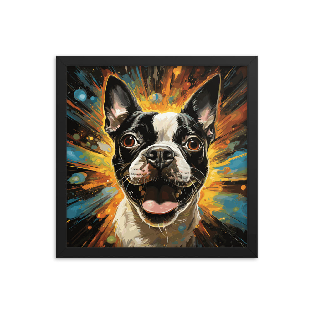 Zoomies Excitement Boston Terrier Dog Framed poster