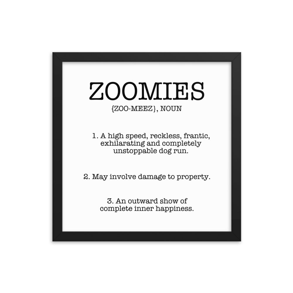 Zoomies Definition Framed Poster