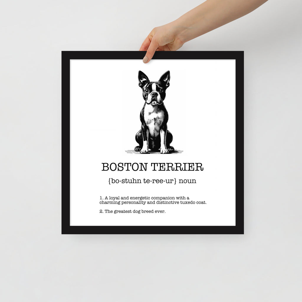 Boston Terrier Definition Framed Poster