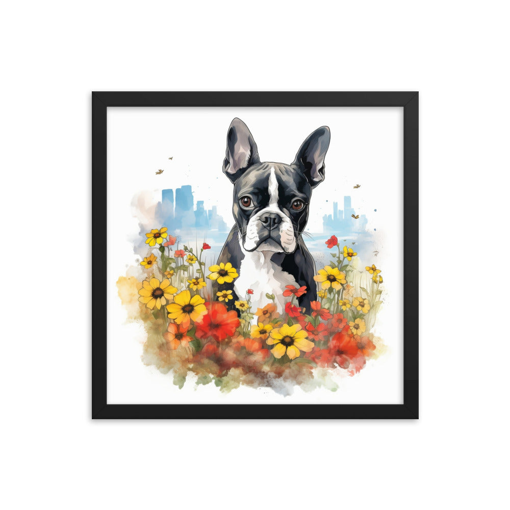 Boston Terrier Dog In A Garden Outside The City Framed Poster