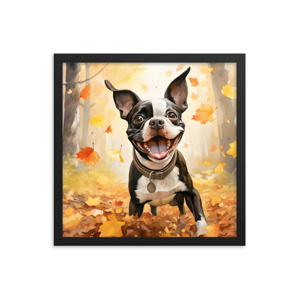 Cheerful Boston Terrier Dog Exploring A Park Watercolor Framed poster