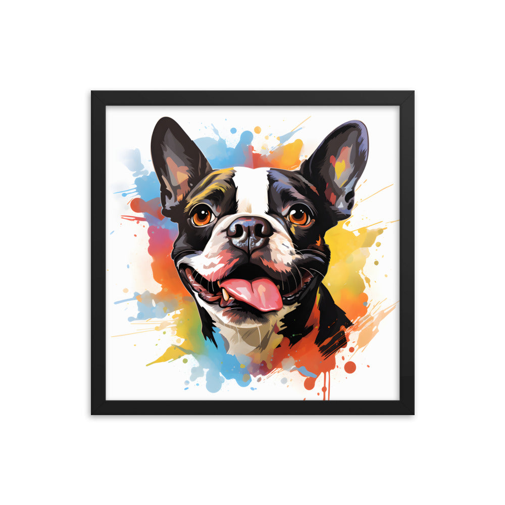 Colorful Playful Boston Terrier Dog Splash Art Framed Poster